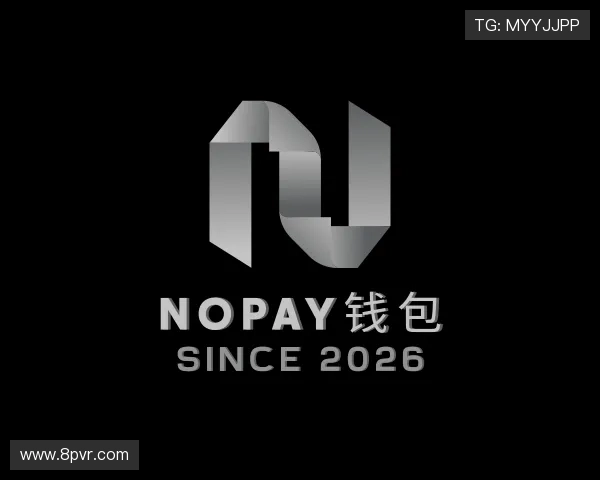 关于NOPAY钱包